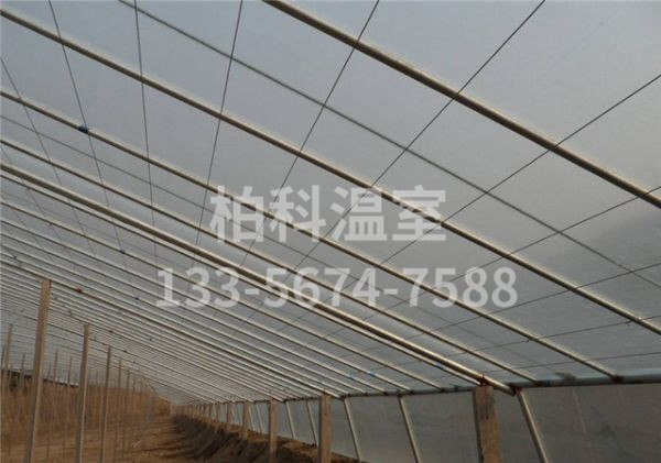 拱棚温室