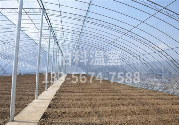 拱棚温室