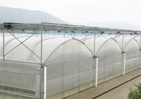 山东连栋薄膜大棚建设厂家