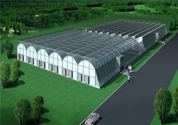 山东智能温室大棚厂家