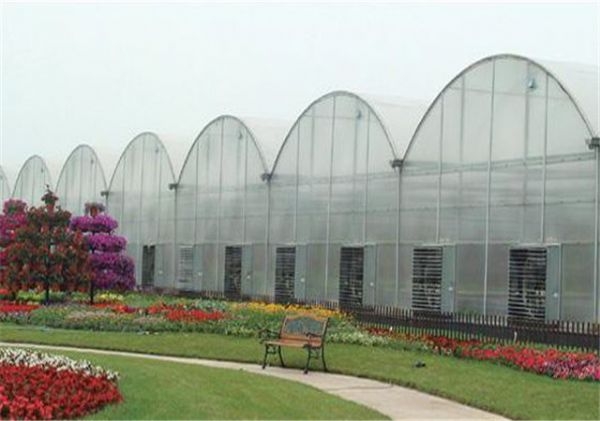 山东连栋薄膜大棚建设厂家