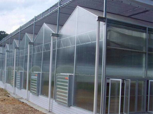 山东温室大棚厂家