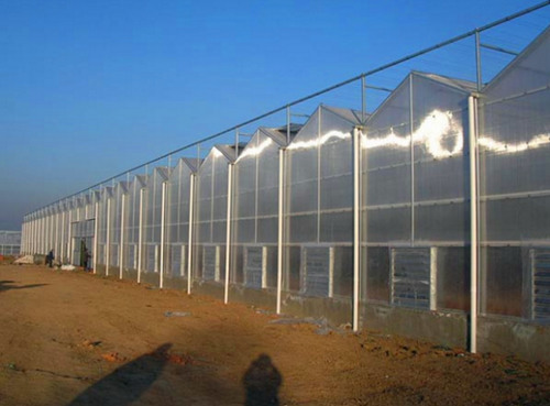 山东日光温室大棚施工厂家