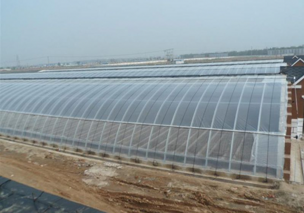 山东温室大棚厂家