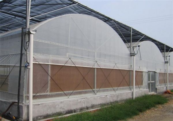 山东连栋薄膜大棚建设厂家