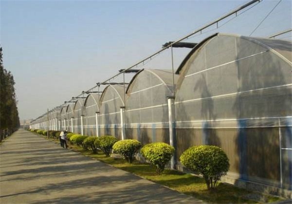 山东连栋薄膜大棚建设厂家