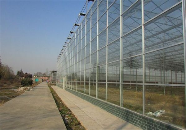 山东连栋薄膜大棚建设厂家