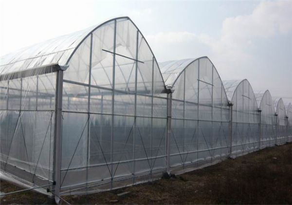 山东连栋薄膜大棚建设厂家