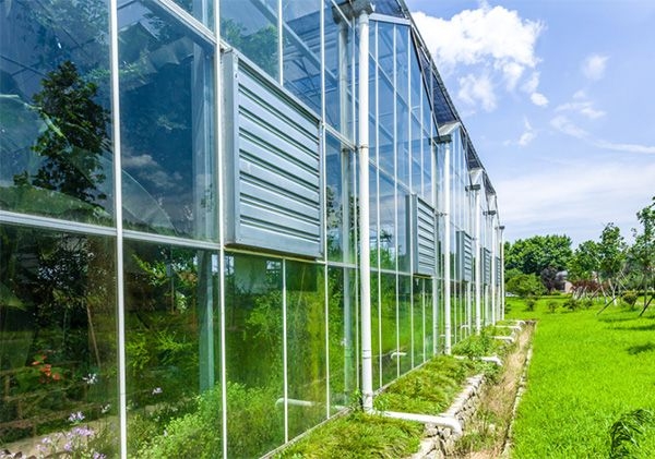 山东温室大棚厂家