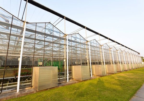 山东玻璃温室厂家