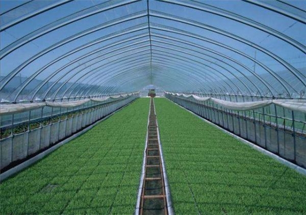 山东温室大棚厂家