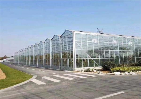 夏季温室大棚如何做好排水工作