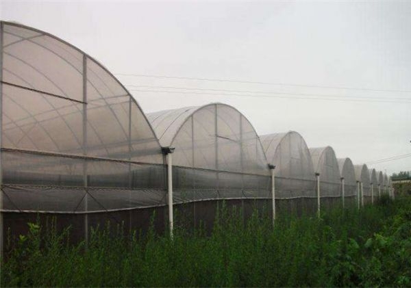 山东温室大棚厂家