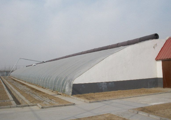 山东日光温室大棚施工厂家