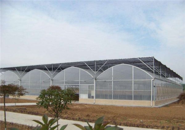 山东连栋薄膜大棚建设厂家