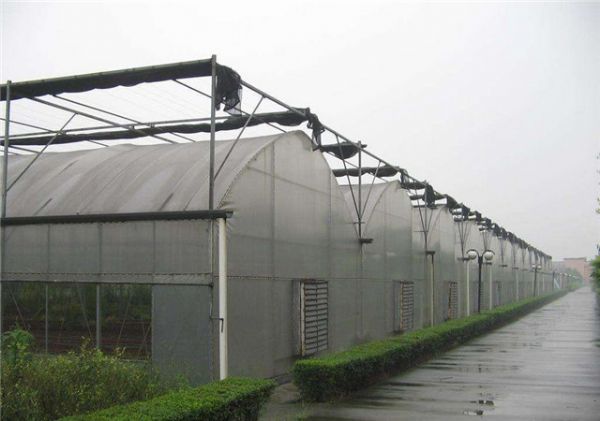 蔬菜温室大棚冬季是怎么通风换气的